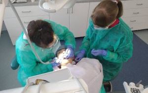 Przykładowe zajęcia na kierunku Higienistka Stomatologiczna (5)