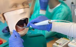 Przykładowe zajęcia na kierunku Higienistka Stomatologiczna (7)