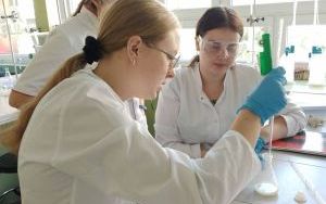 Przykładowe zajęcia na kierunku Technik Farmaceutyczny (13)