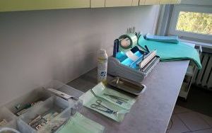 Przykładowe zajęcia na kierunku Technik Sterylizacji Medycznej (4)