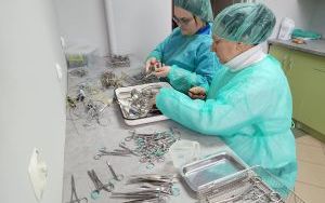 Przykładowe zajęcia na kierunku Technik Sterylizacji Medycznej (6)