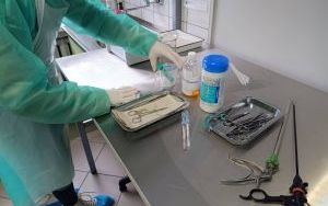 Przykładowe zajęcia na kierunku Technik Sterylizacji Medycznej (7)