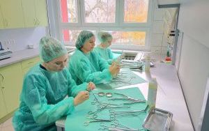 Przykładowe zajęcia na kierunku Technik Sterylizacji Medycznej (9)